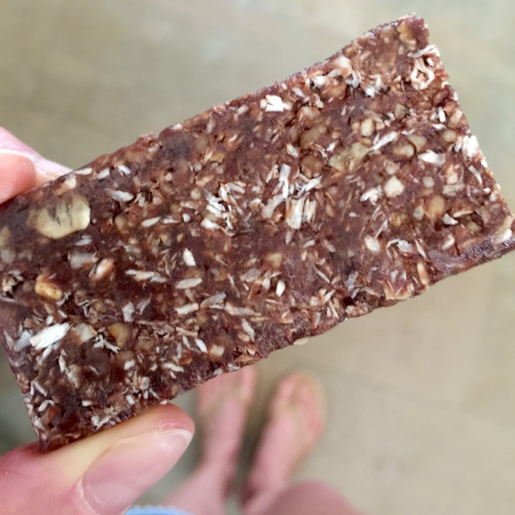 Chocolate coconut protein bar