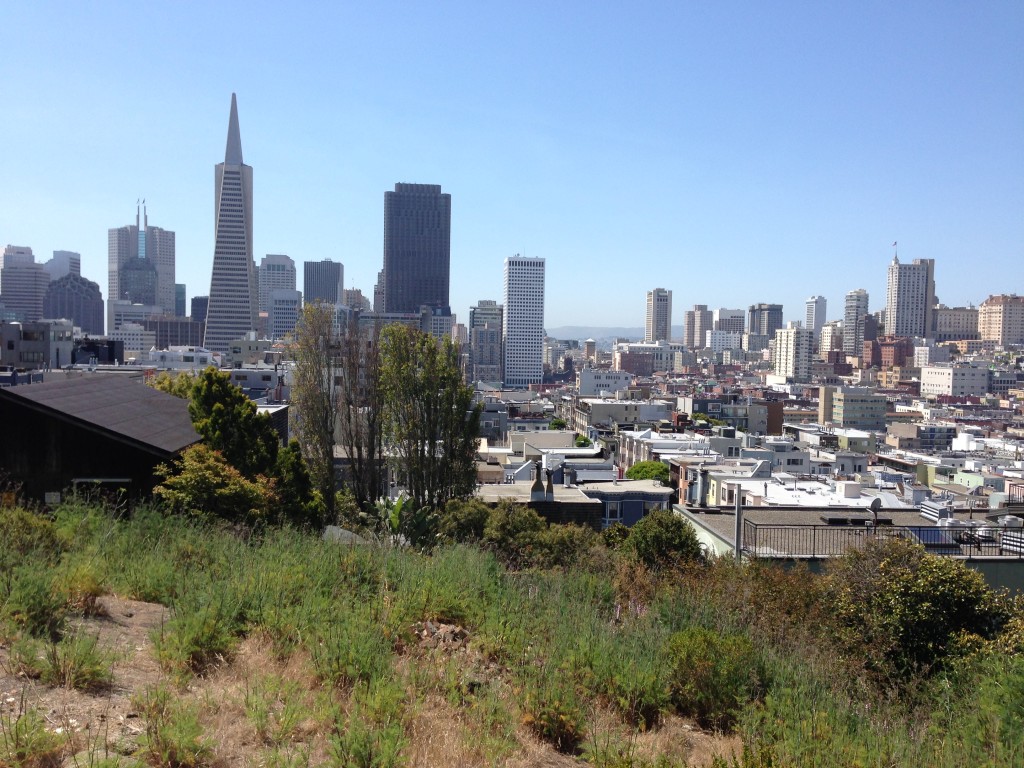 Our view climbing up to Coit Tower