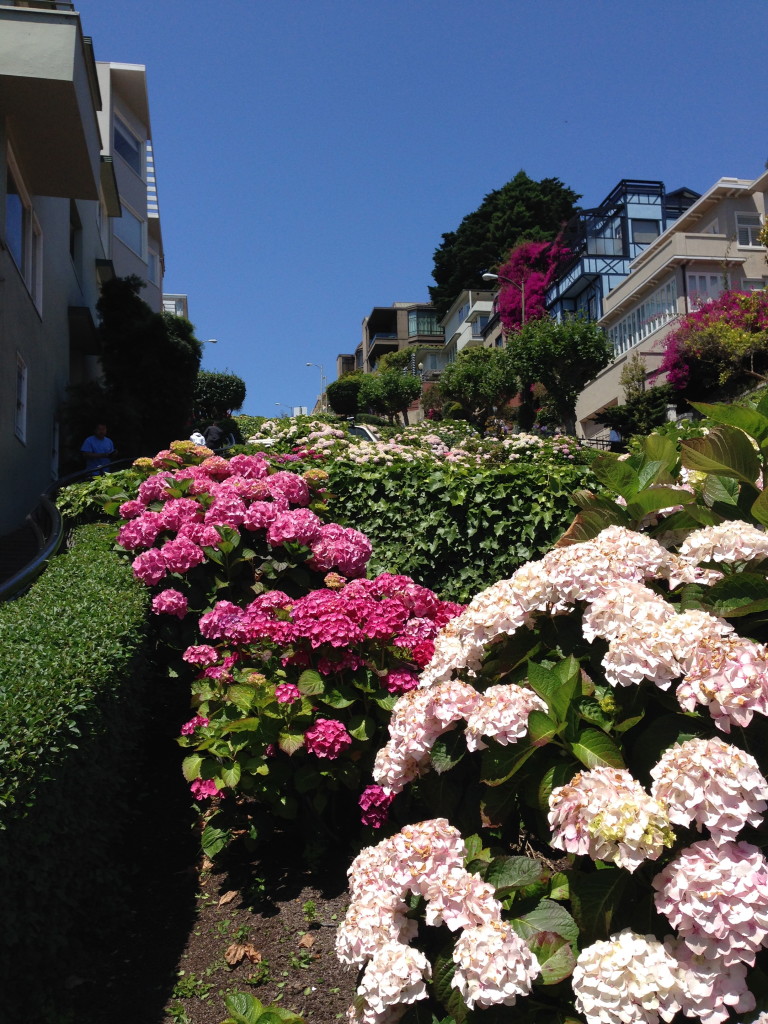 Lombard Street, San Francisco, California