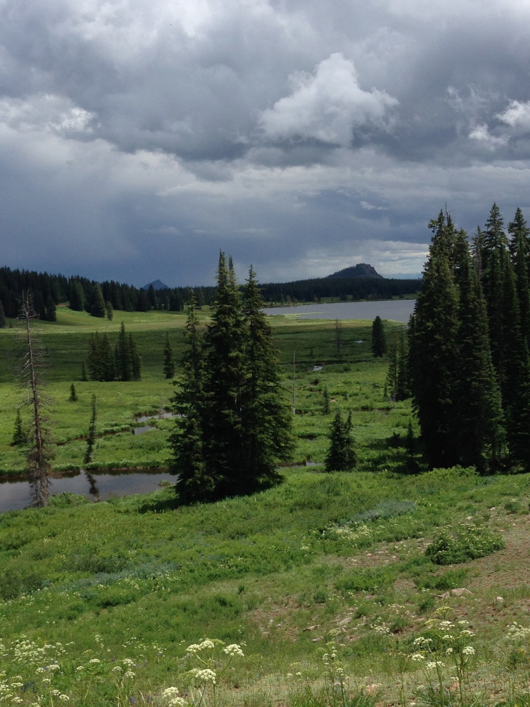 Dumont Lake Colorado