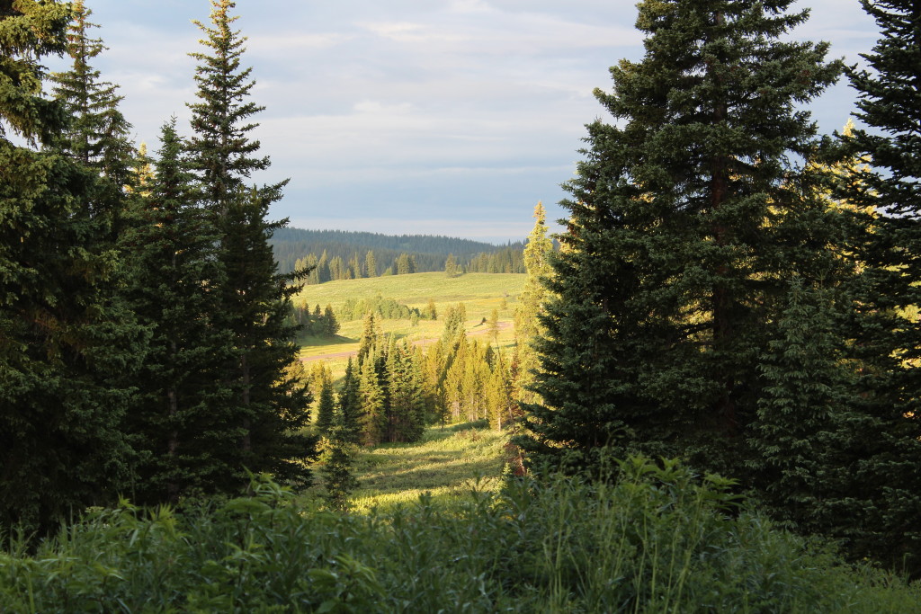 Lake Dumont campsite, Colorado