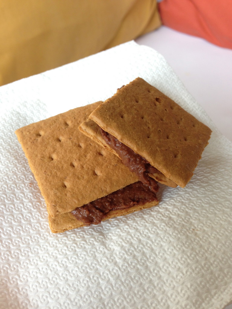 Graham crackers with chocolate hummus