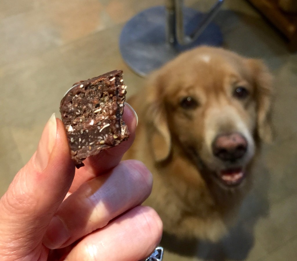 Chocolate peanut butter freezer fudge