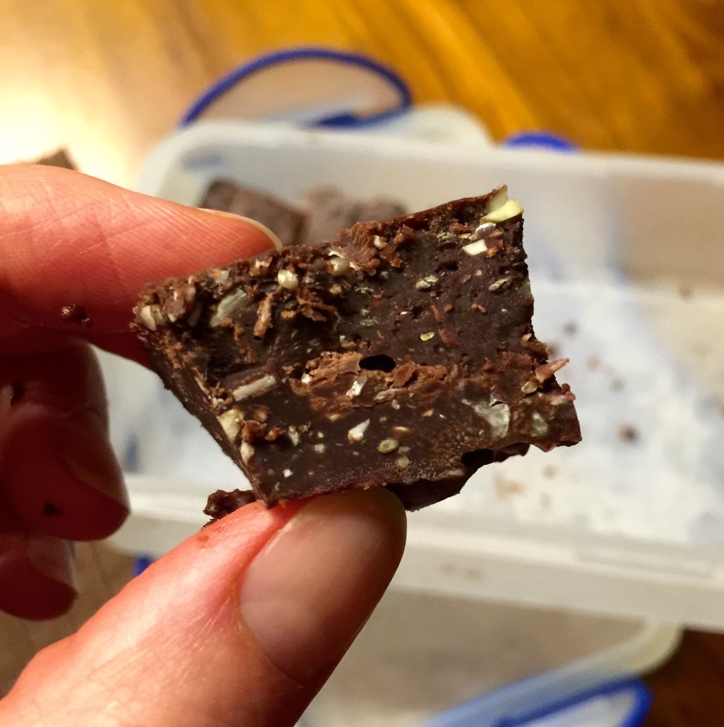 Chocolate chia freezer fudge