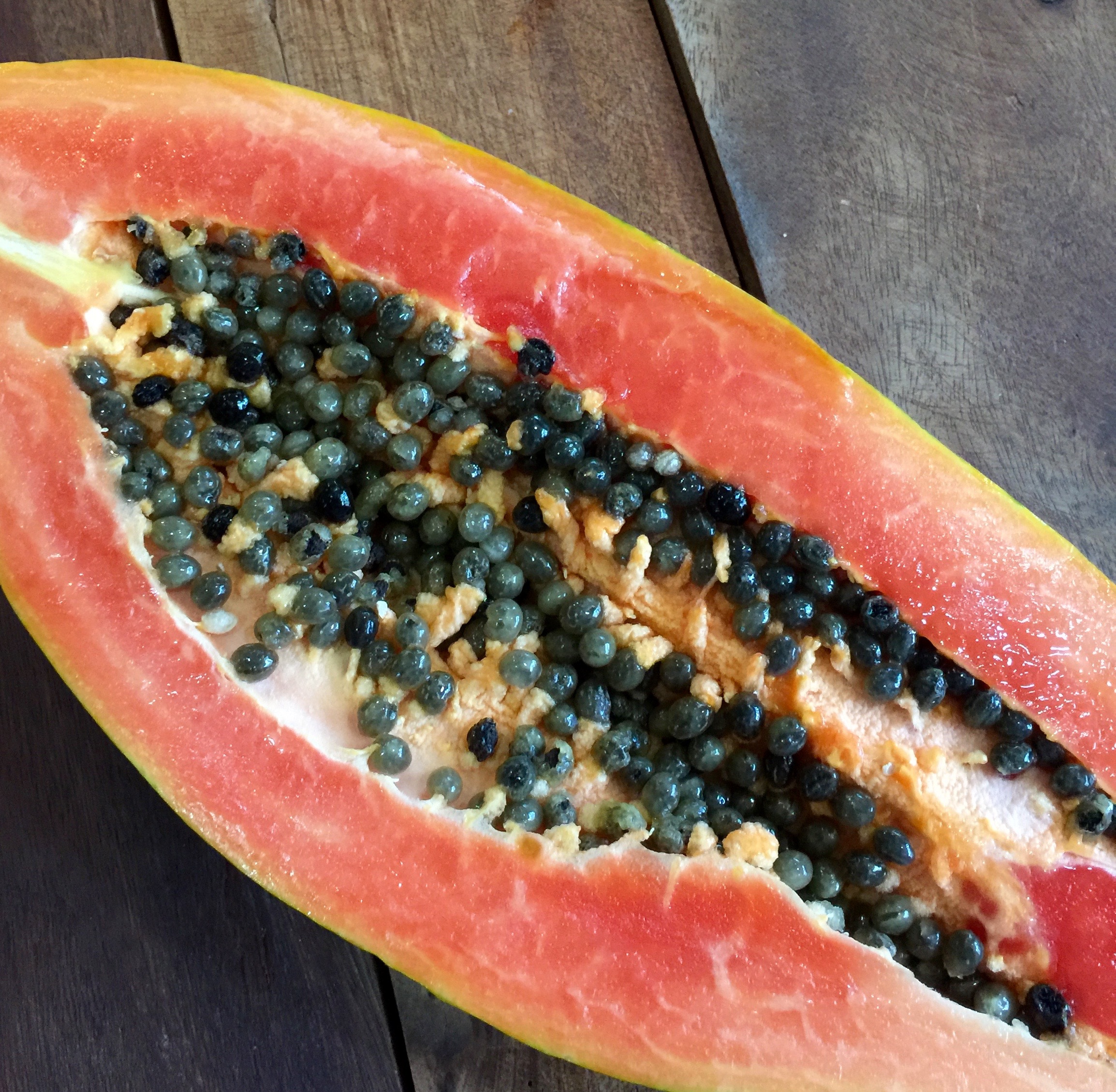 Red lady papaya