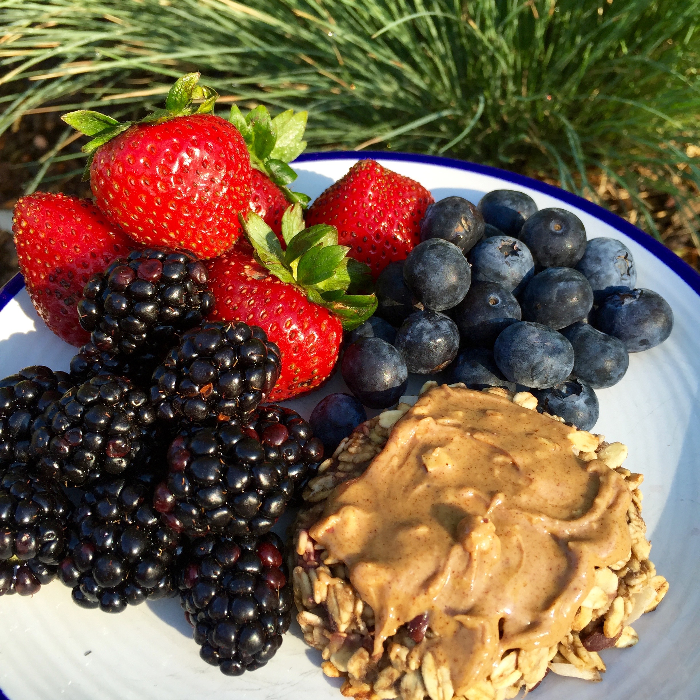 Fresh berries, banana oat cookie