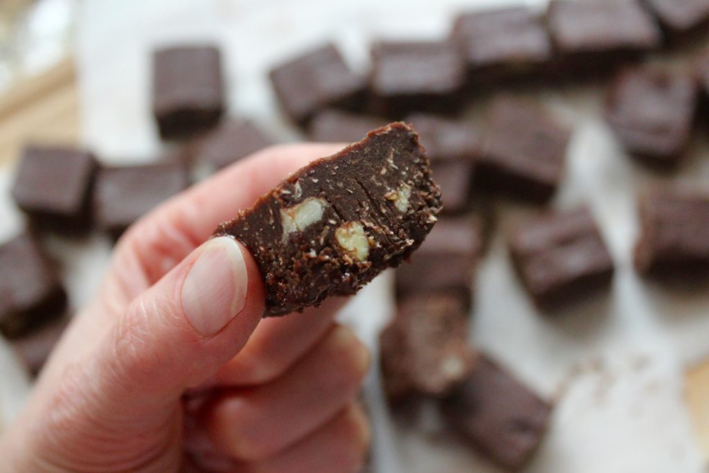 Chocolate Chia Freezer Fudge