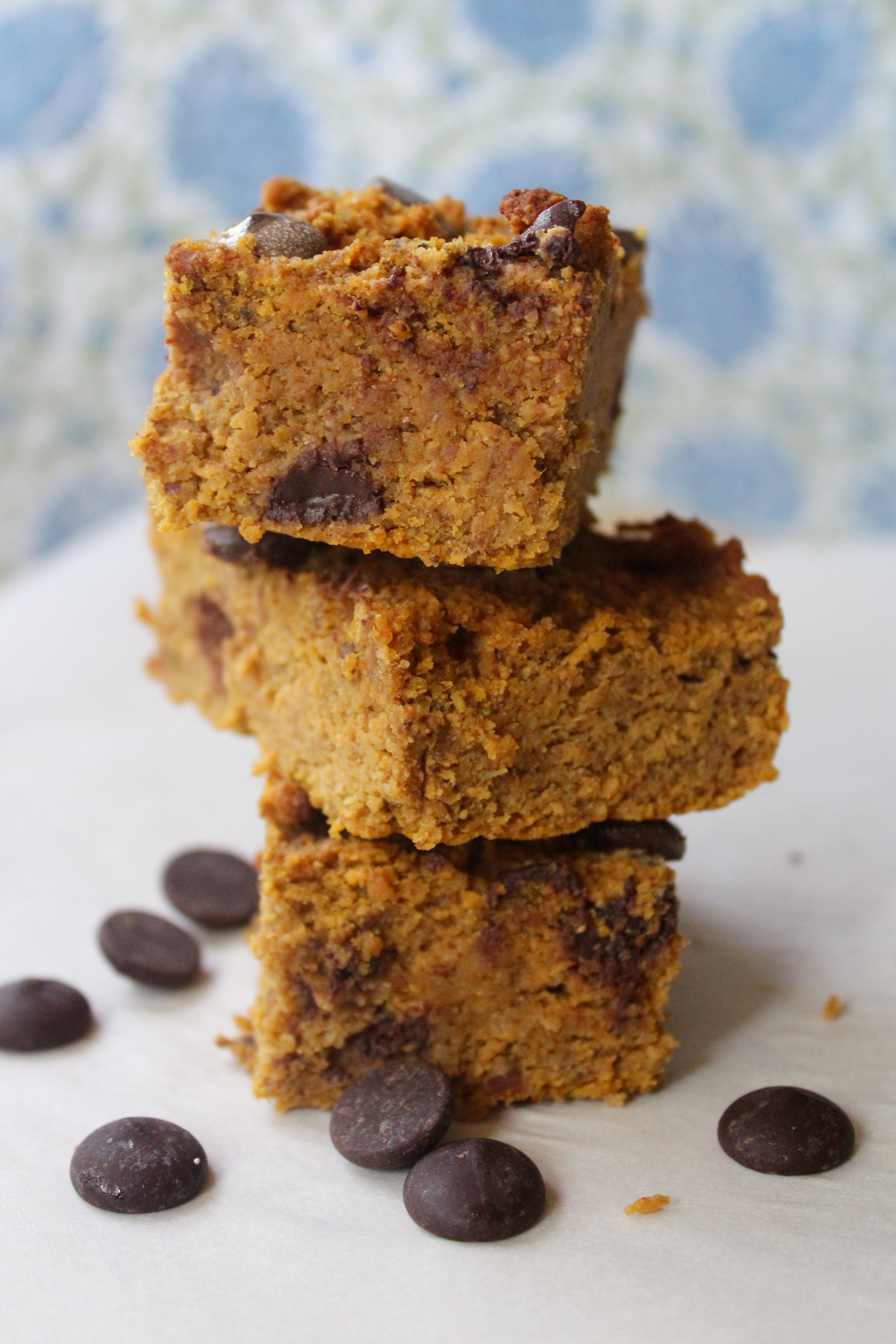 Pumpkin Chocolate Chip Brownies